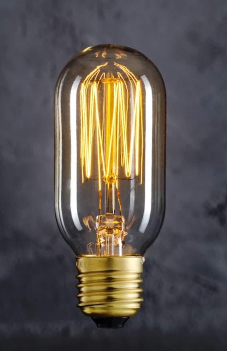 1 Edison Bulbs for Industrial Lighting 110v 220v T45 Etsy