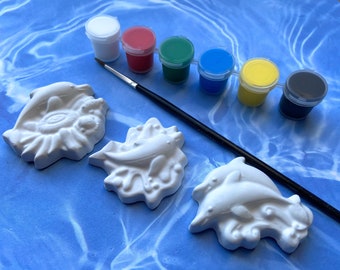 Paint Your Own Dolphin Magnets - Dolphin Gift