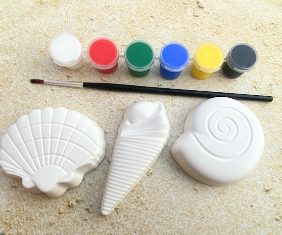 Paint Your Own Sea Shells Magnet Set Adult Craft Kit Teen - Etsy
