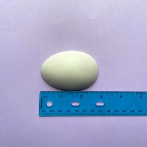 May include: A pale green egg-shaped object measuring approximately 2 inches in length, next to a blue ruler.