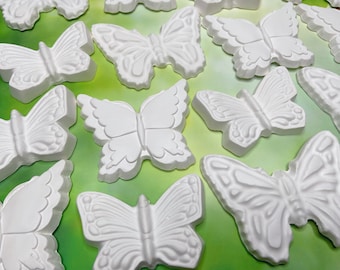 Butterfly Paint Party Favors - Tea Party Favors - Butterfly Party