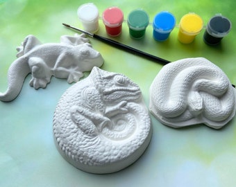 Paint Your Own Snake, Lizard and Chameleon Magnets - Reptile Gifts - Unique Gifts - Teen Craft Kit