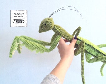 カマキリの大型メス標本のみ。 - Etsy 日本