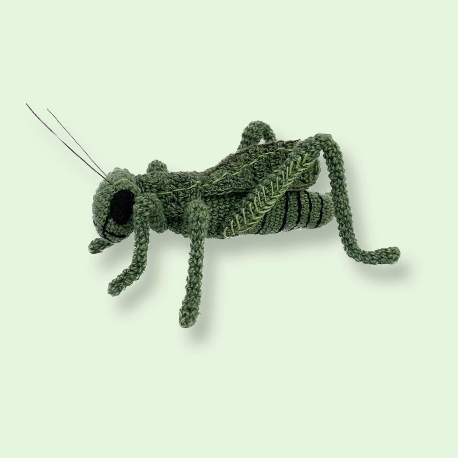 Grasshopper Plush Etsy Canada