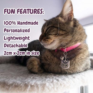 Puede incluir: Un gato atigrado marr&oacute;n con un collar rosa con un dije en forma de gato. El gato est&aacute; acostado sobre una superficie gris claro. El texto "FUN FEATURES:" es visible sobre el gato. El texto debajo del gato dice "100% Hecho a mano, Personalizado, Ligero, Desmontable, 2 cm x 2 cm".