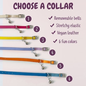 Puede incluir: Seis collares para gatos de colores vivos con cascabeles extra&iacute;bles. Los collares est&aacute;n hechos de cuero vegano y tienen una banda el&aacute;stica extensible. Los colores son blanco, rosa, amarillo, morado, naranja y azul.