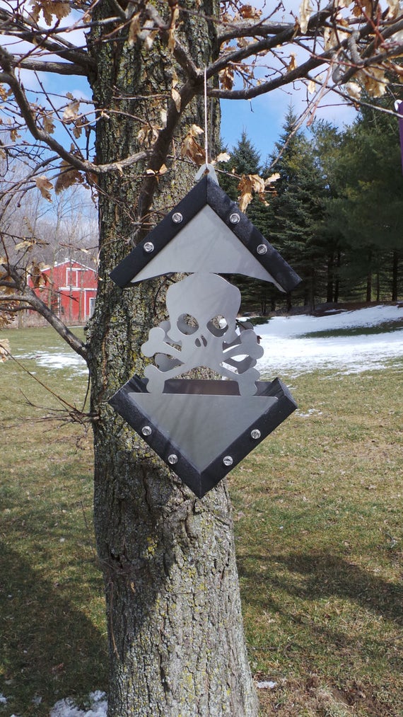 Bird Feeder Kit Skull Etsy
