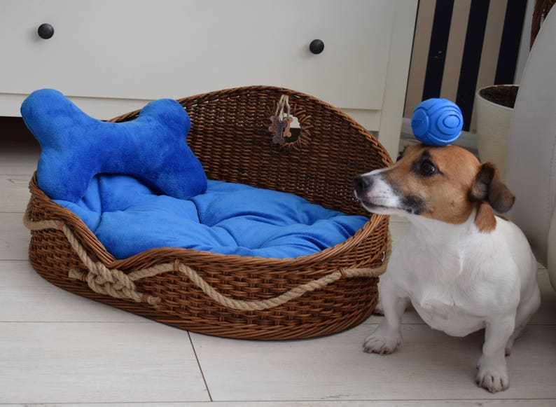 Etsy dog basket Clearance