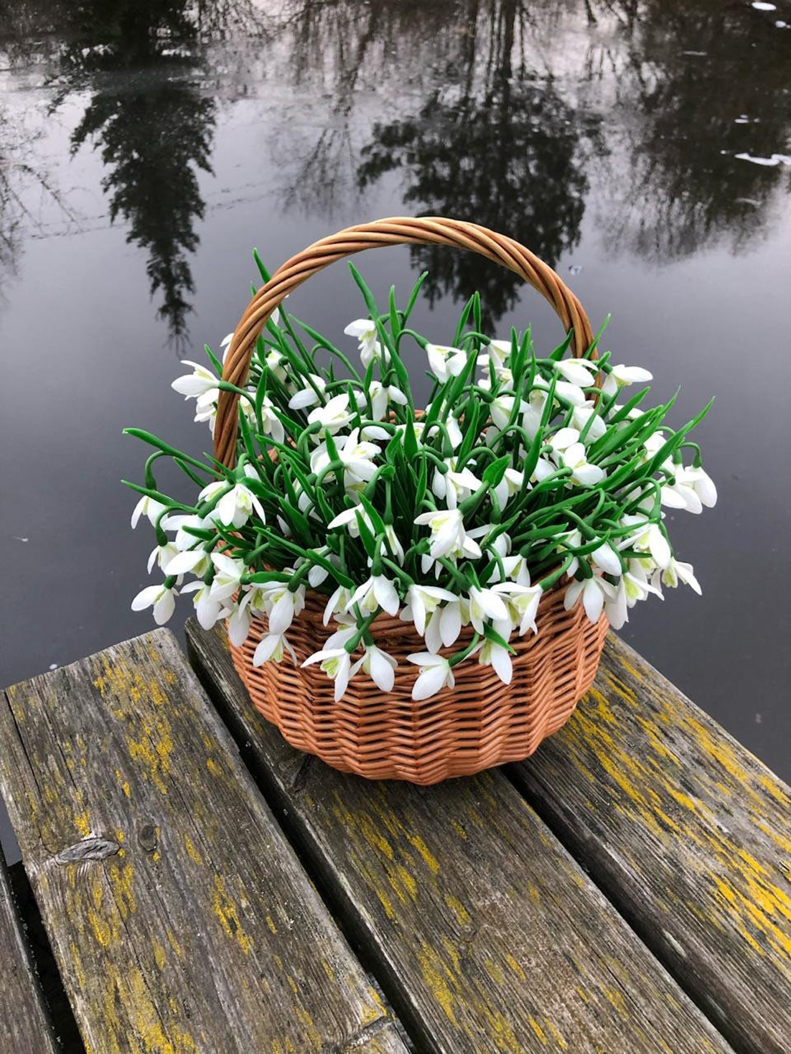 Artificial snowdrops handcrafted with cold porcelain. 100 ps Etsy