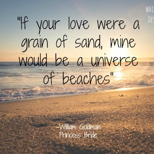 Princess Bride Quote