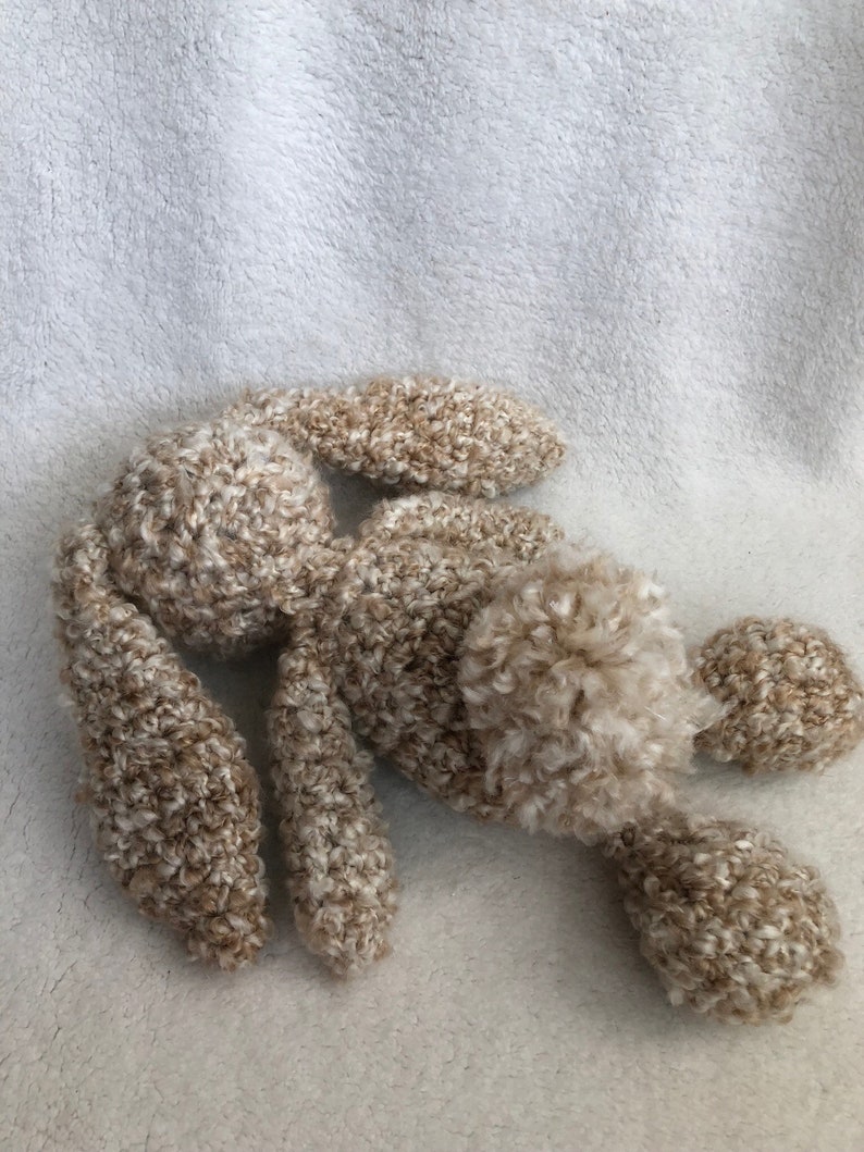 FlopsyFloppy Eared BunnyBunny RabbitRabbitEaster