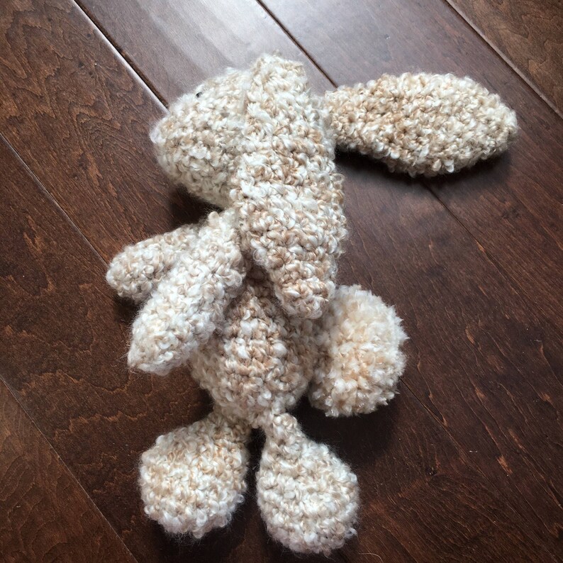 FlopsyFloppy Eared BunnyBunny RabbitRabbitEaster