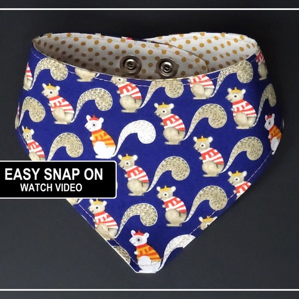 Dog Bandana - Squirrels - Dog Bandana Snaps - Navy Blue Dog  - Cute Dog Bandana - Puppy - Reversible Dog Bandana - Funny Dog Bandana