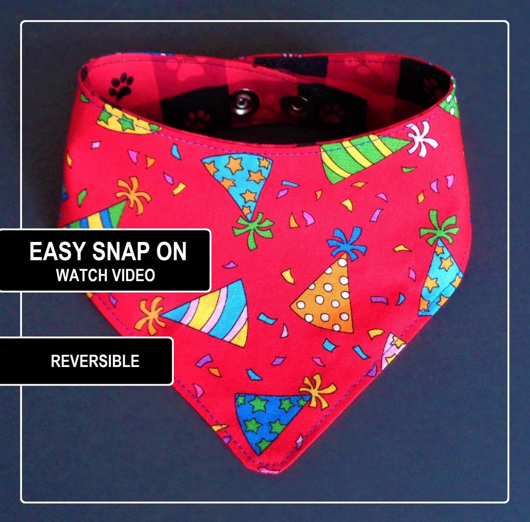Dog Bandana Birthday Party Hats on Red Snap on Dog Bandana Dogs
