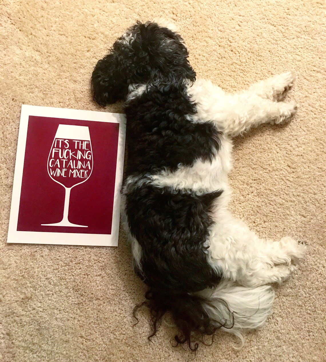 Catalina Wine Mixer Poster Stepbrothers Poster Movie Quote Art Etsy