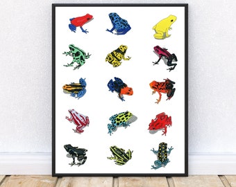 Drawing Print Poison Dart Frogs