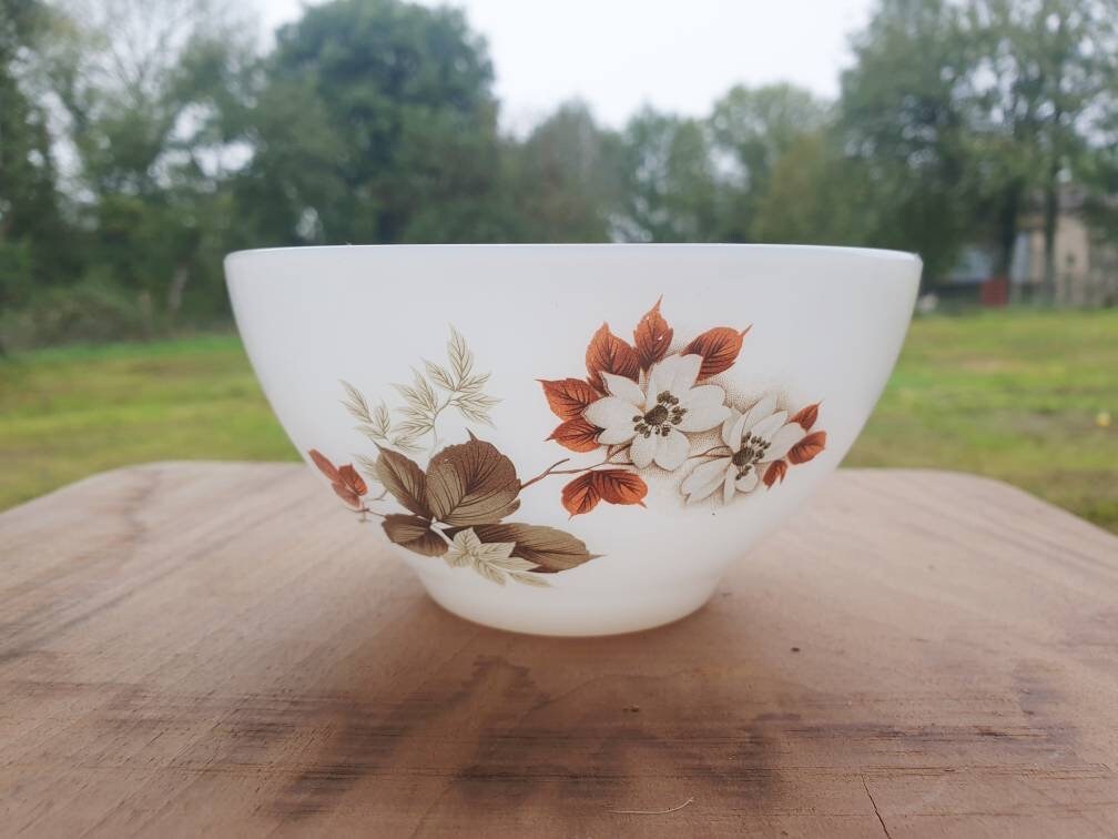 Petit Bol d'arcopal Français Verre de Lait Arcopal Vintage 50S Automne Cuisine Servant Décor Maison 