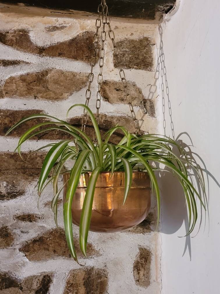 Français Pot de Plante Cuivre Cru Petit Planteur Suspendu Tendances d'été Plantes Boho Style Intérie