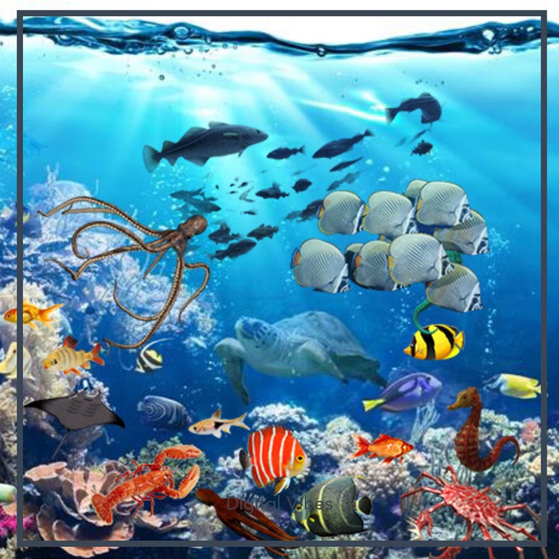 50 Ocean Creatures Overlays, Fish overlays, Dolphin , Sharks, digital