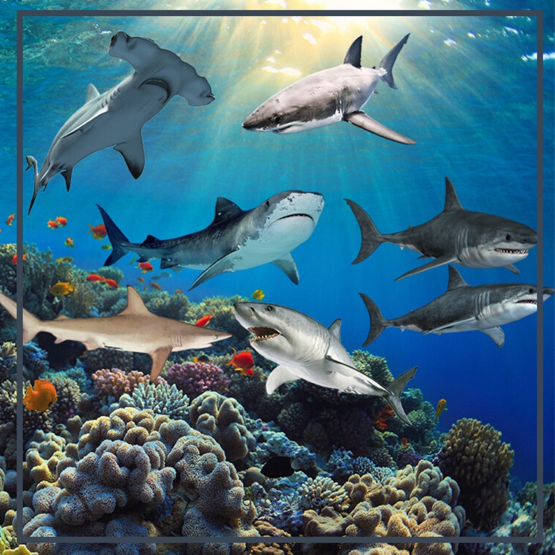 50 Ocean Creatures Overlays, Fish overlays, Dolphin , Sharks, digital