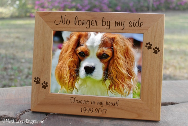 Cat Memorial Personalized Pet Loss Frame Pet Loss Memorial for Dog Passing Gift Engraved Pet Sympathy Gift Dog Passing Away Dog Memorial