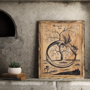 Cabinet of Curiosities , philosopher stone, alchemy poster,
