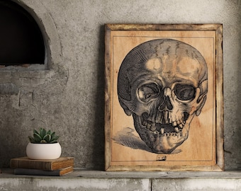 skull poster, memento mori, skeleton poster, medieval art, art print, grimoire