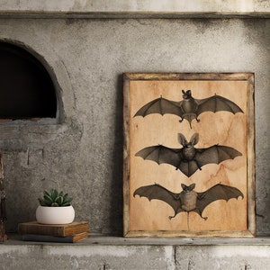 naturalist board, naturalist print, coffee dyed print, Bat art print, curiosity cabinet, gothic poster, vintage style board, home deco,