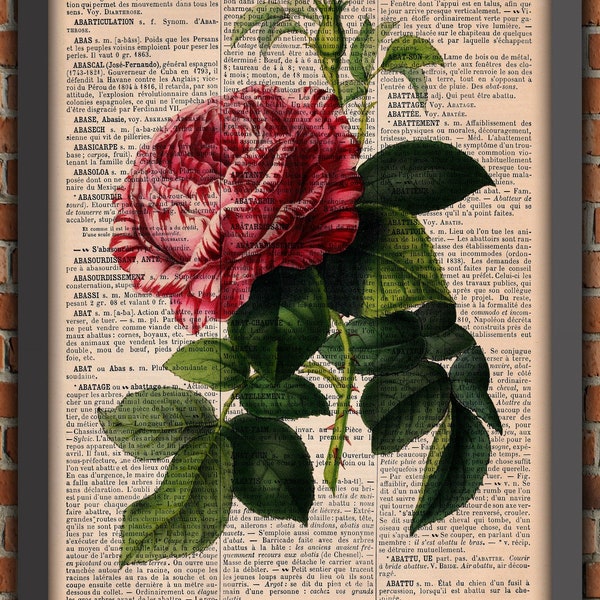Fleurs Pivoine Shabby Chic Jardin Rose Bouquet Vintage Art Print Décoration Murale Cadeau Poster Original Dictionnaire Page Impression