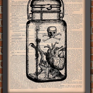 Jar Toad Gift Witch Potion Halloween Heart Vintage Art Print Wall Decor Gift Poster Original Dictionary Page Print