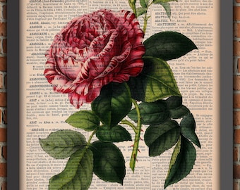 Fleurs Pivoine Shabby Chic Jardin Rose Bouquet Vintage Art Print Décoration Murale Cadeau Poster Original Dictionnaire Page Impression