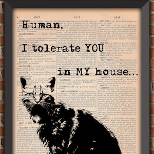 Katze Begleiter Vierbeiner Crazy Cat Lady Vintage Kunstdruck Wanddekoration Geschenk Original Poster Wörterbuch Seite Druck Fell Baby