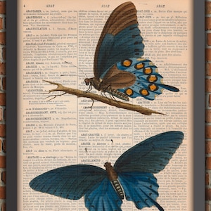 Blue Butterflies Bugs Curiosity Cabinet Odd Insect Vintage Art Print Home Decor Gift Poster Original Dictionary Page Print french old paper image 1