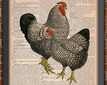 Poule Coq Ferme Basse-cour Animal  Nature Vintage Art Print Décoration Murale Cadeau Poster Original Dictionnaire Page Impression chicken
