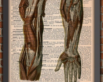 Dictionary print muscles hand  arms Anatomy Doctor human medicine Vintage Art Print Home Decor Gift Original Dictionary Page Print upcycled