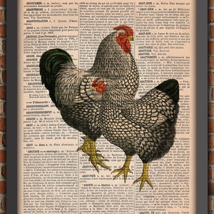 Chicken coop Farm Birds Cute crazy chicken lady coq rooster hen Vintage Art Print Home Decor Gift Poster Original Dictionary Page Print