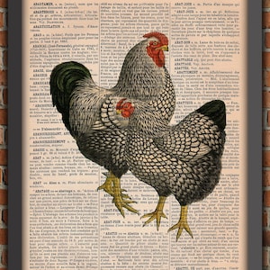 Gallina Gallo Fattoria Cortile Animale Natura Stampa artistica vintage Decorazione da parete Poster regalo Pagina del dizionario originale Stampa pollo