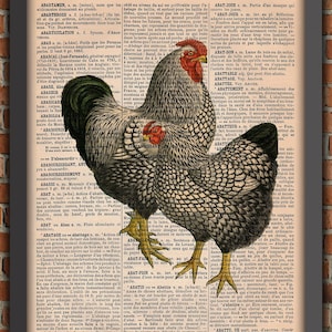 Chicken coop Farm Birds Cute crazy chicken lady coq rooster hen Vintage Art Print Home Decor Gift Poster Original Dictionary Page Print