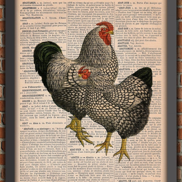 Poule Coq Ferme Basse-cour Animal  Nature Vintage Art Print Décoration Murale Cadeau Poster Original Dictionnaire Page Impression chicken