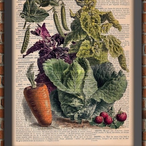 vintage prints kitchen poster illustration vegetables old botanical gardener vegan vegetarian vegan authentic french book page garden