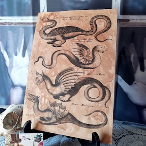 Cartel DRAGON, cartel VOUIVRE, cartel Animal MÍTICO, Gabinete de Curiosidades, papel teñido