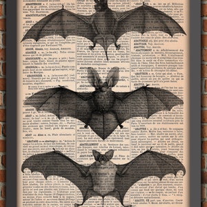 Fledermaus Fledermaus Gothic Punk Halloween Viktorianisch Vintage Kunstdruck Wanddekoration Geschenk Poster Original Wörterbuchseite Druck
