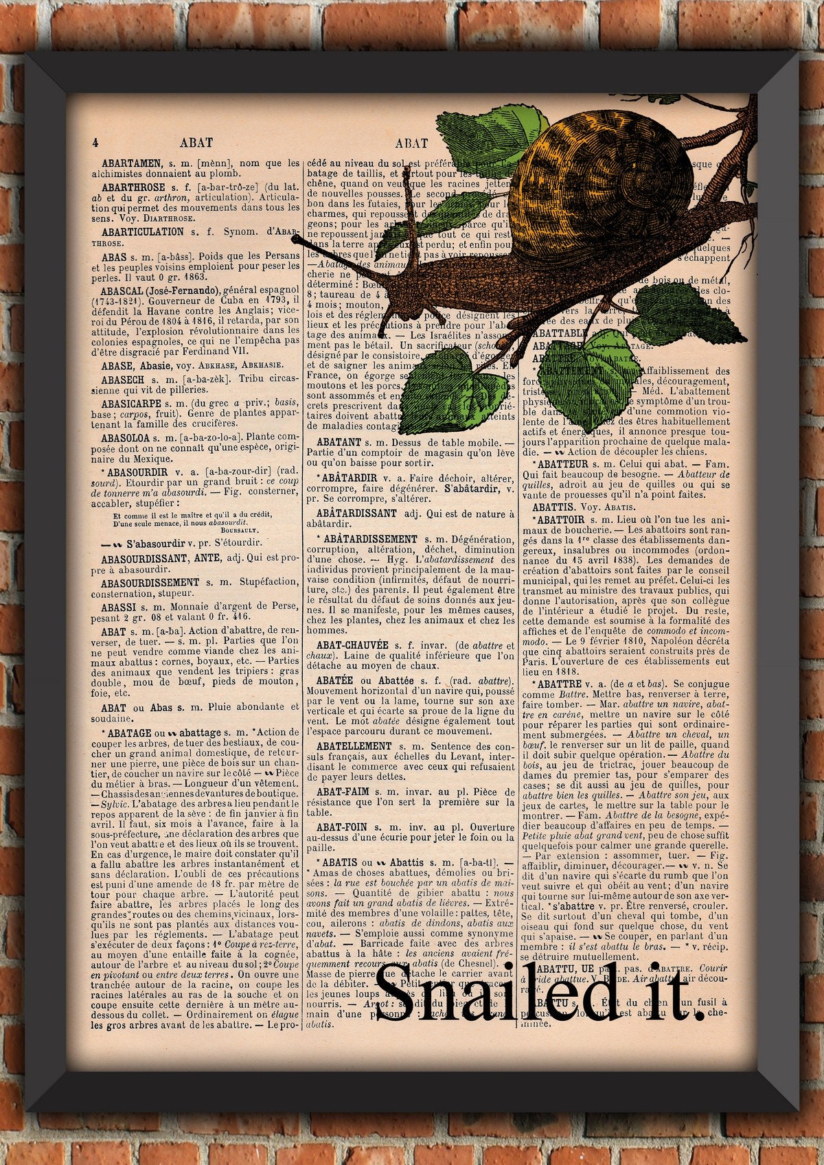 Escargot Drôle Nailed It Feuilles Nature Vintage Art Print Décoration Murale Cadeau Poster Original 