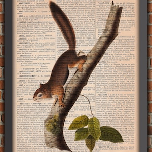 Squirrel Whimsical Tree  Nuts Forest Cute Animal Vintage Art Print Home Decor Gift Poster Original Dictionary Page Print