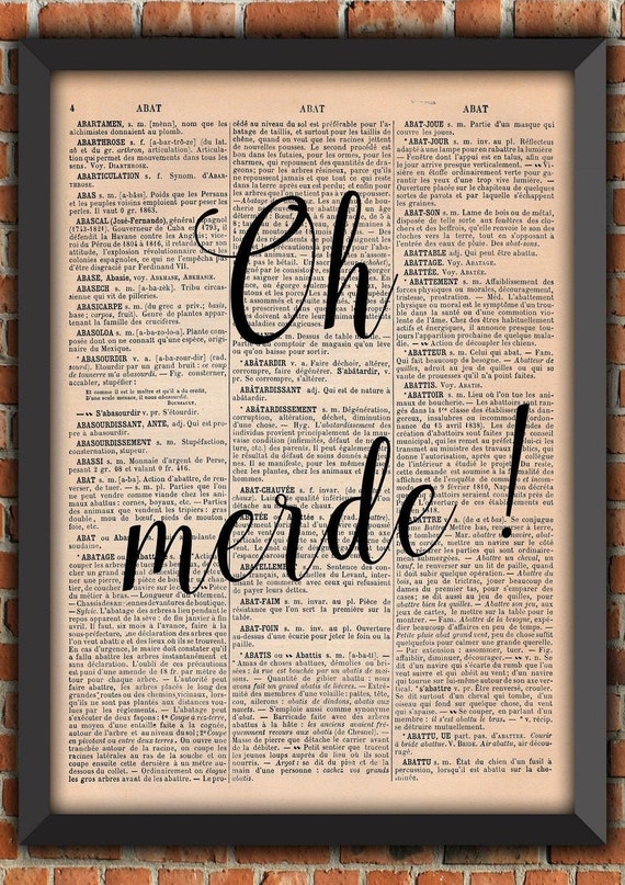 poster OH MERDE french expression french paper authentic vintage funny french paper poster dictionary gift cheap gift