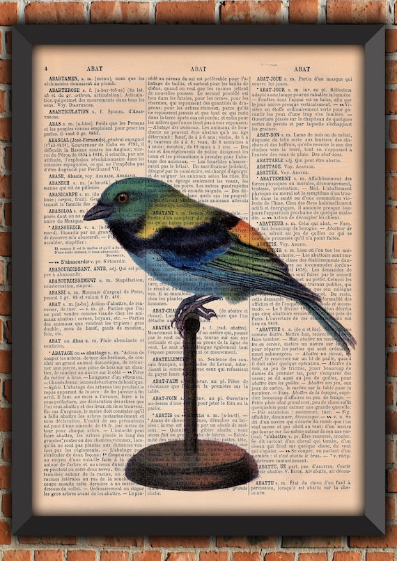 Hummingbird Hunt Farm Birds Cute Shabby Chic Mother's Day Giclée Vintage Art Print Home Decor Gift Poster Original Dictionary Page Print