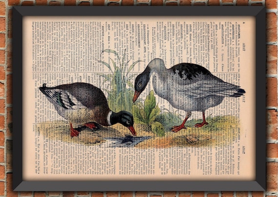 Mallard Duck Goose Hunt Farm Birds Cute Shabby Chic Mother's Day Vintage Art Print Home Decor Gift Poster Original Dictionary Page Print