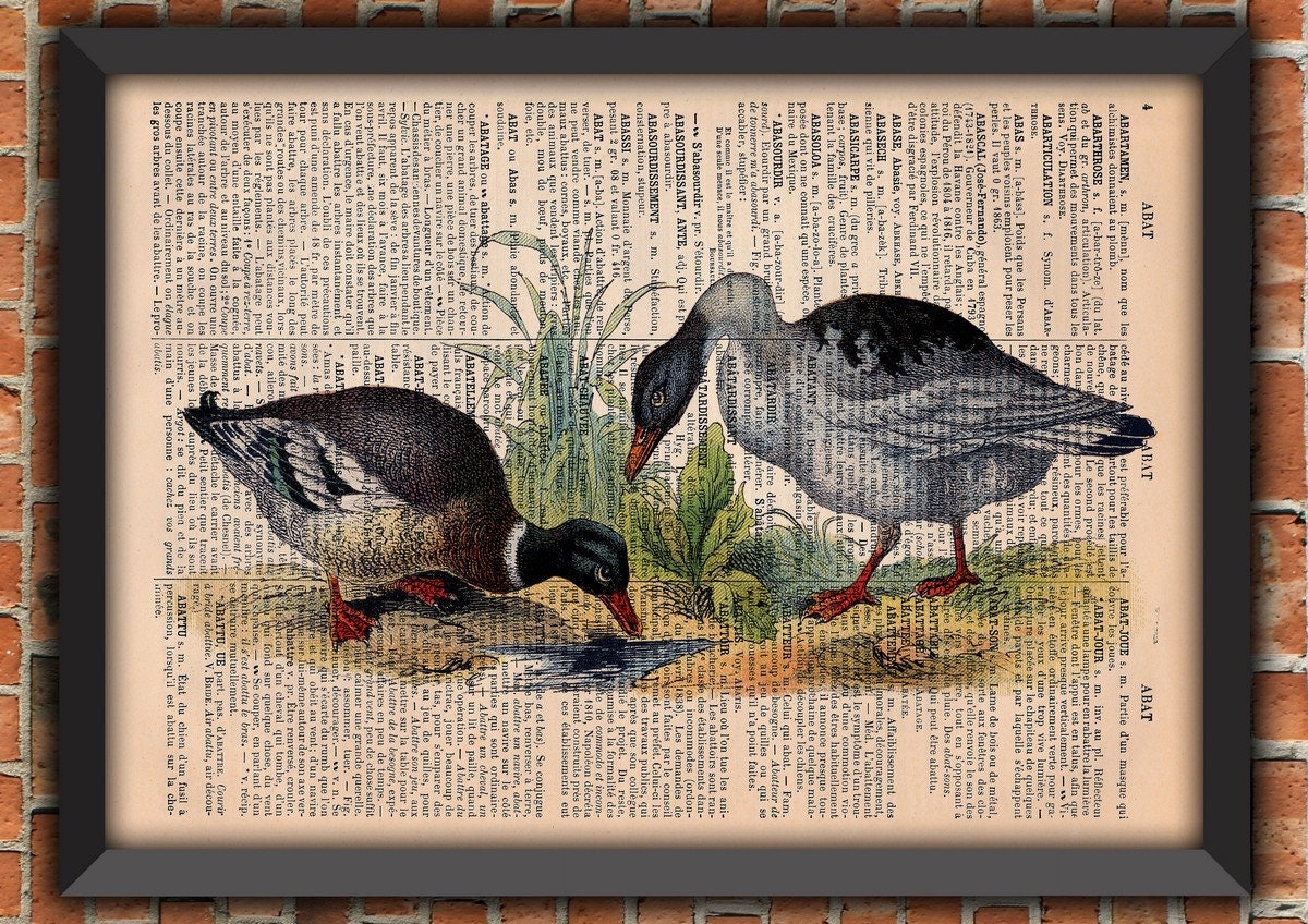 Canard Oie Chasse Oiseaux Animal Shabby Chic Nature Vintage Art Print Décoration Murale Cadeau Poste