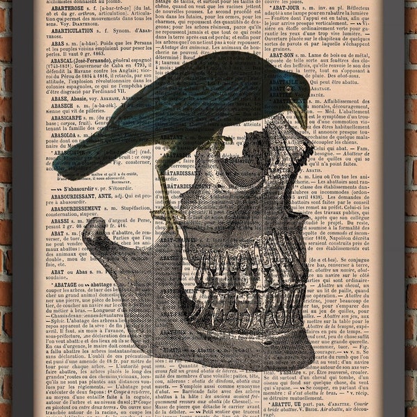 Os Squelette Crâne Tête De Mort Corbeau Gothique Punk Vintage Art Print Décoration Murale Poster Original Dictionnaire Page Impression A199