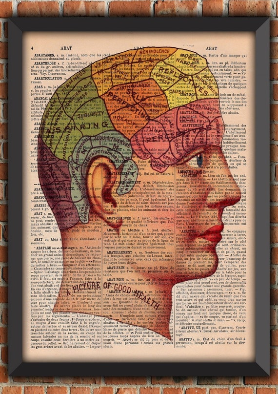 Phrenology head Bizarre artwork Curiosity  Retro Vintage Art Print  Poster Original Dictionary Page french wall art upcycling